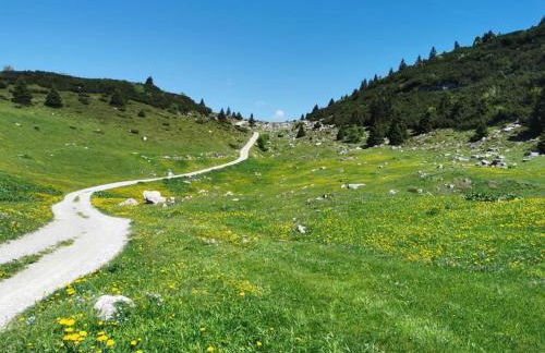 Villa Villi - Foto 44