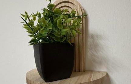 Neu saniertes Design-Apartment mit Boutique-Charme - Foto 11