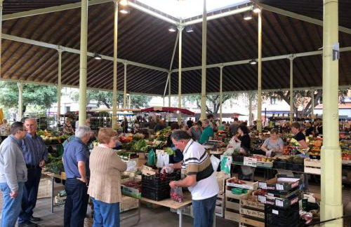 Apartamento Vilallonga - Foto 48