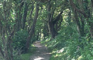 Cosy holiday caravan minutes from the beach - Foto 41