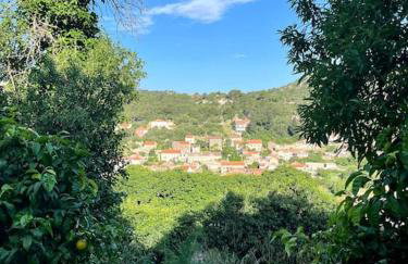 Studio Apartman Ana - Foto 18