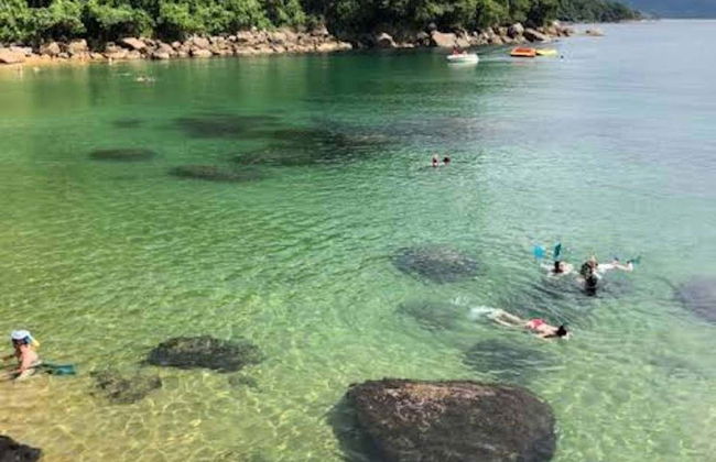 Snorkeling in Ubatuba - Photo 7