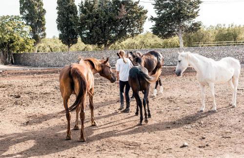 Masseria Prosperi - Photo 26