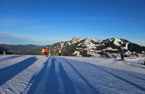 Ferienhaus Faistenau - Foto 7