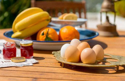 MEGAS GIALOS HARMONY - Foto 37