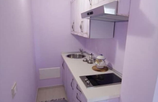 Lucciole nella nebbia - Foto 17