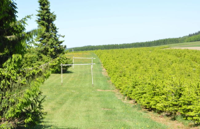 Family Apartment; Bouillon and Semois River - Foto 20