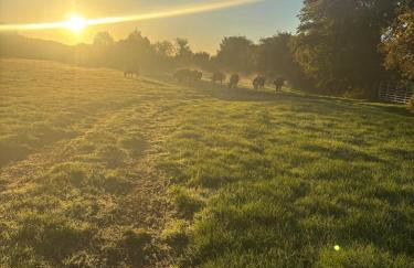 Nightingale Camp private Glamping with hot tub - Foto 39