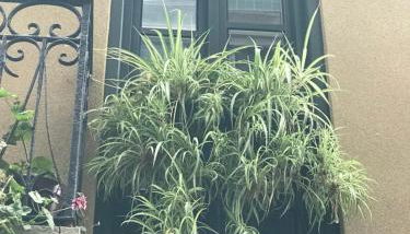 Aittitta Makurra etxea - Foto 4