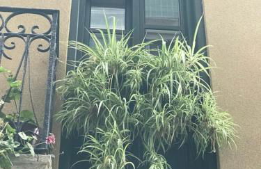 Aittitta Makurra etxea - Foto 4