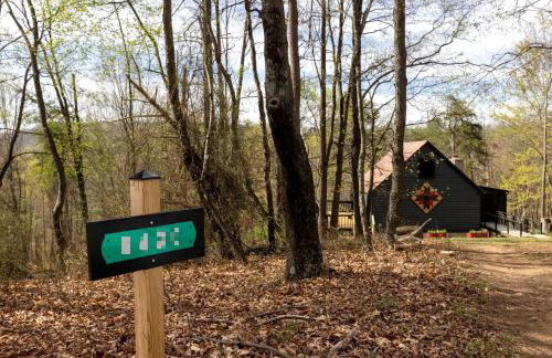 Vibrant Woodland Cabin Sanctuary near Great Cacapon River in West Virginia - Foto 42