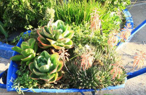 Casa dos Avós - Foto 61