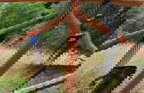 Agriturismo San Cataldo Farm Home - Photo 57