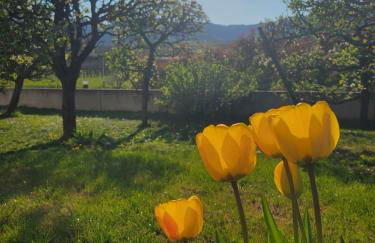 Studio aux pieds des vignes - Foto 28