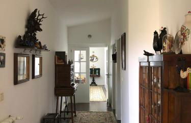 Casa do Galo / Galo House - Foto 14