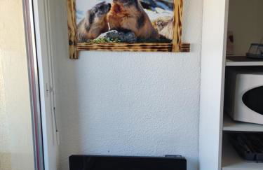 Studio MARMOTTE FONT-ROMEU 4 personnes avec balcon Résidence VAL SOLEIL entièrement rénové en juin 2021 place de PARKING & WIFI gratuit , draps & serviettes de toilettes non inclus, sabanas y toallas no incluidos - Foto 15