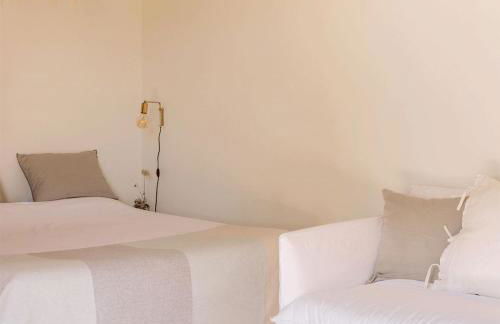 Campo de Arroz - Foto 14