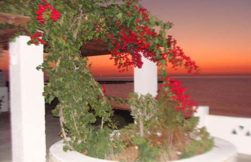 ΠΑΡΑΘΙΝ ΑΛΟΣ 2 - Photo 44