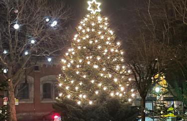 Ferienwohnung Bea´s Bergblick - Foto 7