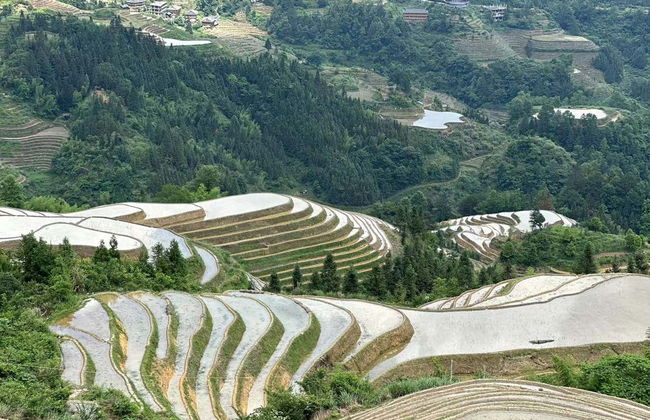 Tour privado por las terrazas de arroz - Foto 8