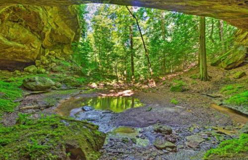 Mammoth Cave Cabin Rentals 4 - Foto 7