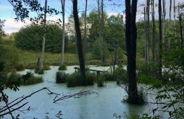 Srokowski Dwór 1 - Leśny Zakątek - Prywatna Sauna! - Foto 26