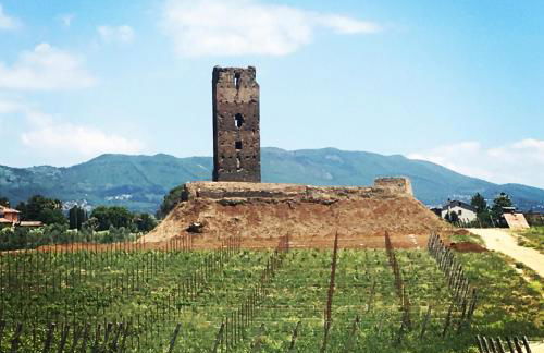 Il Casale degli Ulivi - Agriturismo - TENIMENTI LEONE - Foto 11