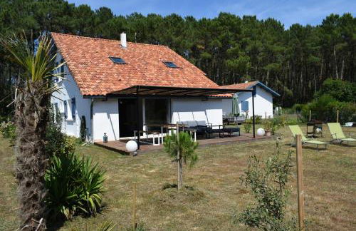 Evasion Côtière Tranquillité entre Forêt et Océan - Foto 3