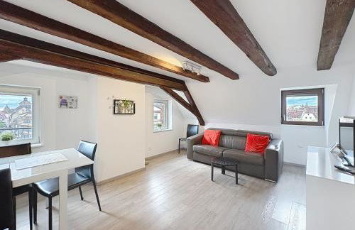 A L'ill - Apparts & Studios Strasbourg Hyper Centre - Foto 63