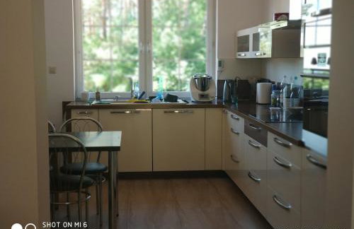 Pluski Dom "Ryś" nad J. Pluszne - Foto 39