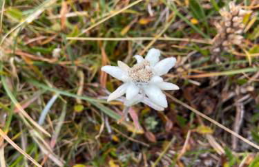 Agriturism Gscnara - Foto 27