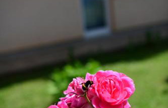 Apartman Dorijan - Foto 36