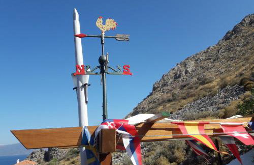 Hydra Erato - Foto 21