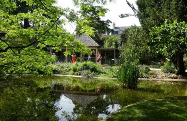 Studio Simplicien Centre ville Pitiers - Foto 14