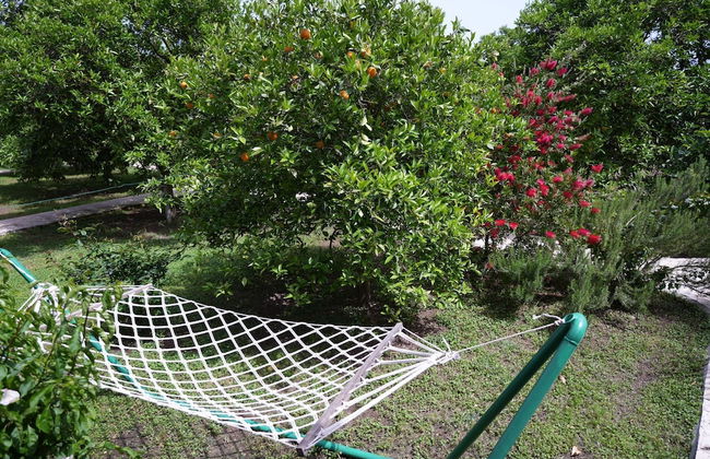 Cirali Villas 2 - Foto 35