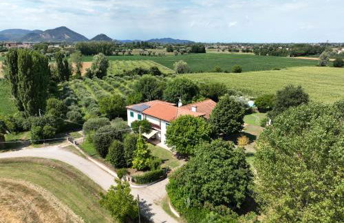 Agriturismo San Bartolomeo - Foto 69