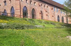 Ferienhaus am Schaalsee - Foto 18