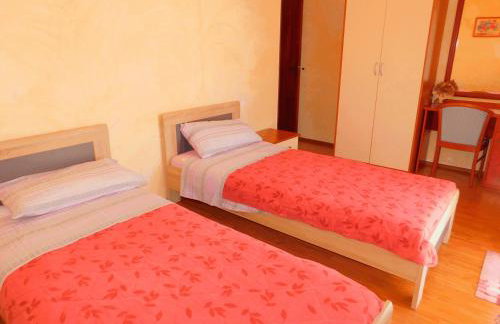 App Palčić K - Photo 51