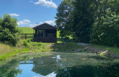 The Mockingbird - Foto 1