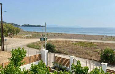 Sea Lilly - Photo 61