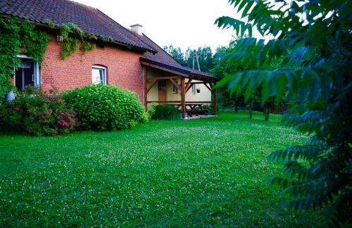 Zielony Gaj - Photo 31