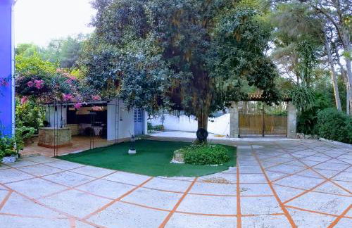 Estudio Las Rotas - Photo 23