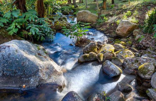 Linda casa Araras 6 suítes/ rio privativo/ Condomínio Denasa - Foto 36