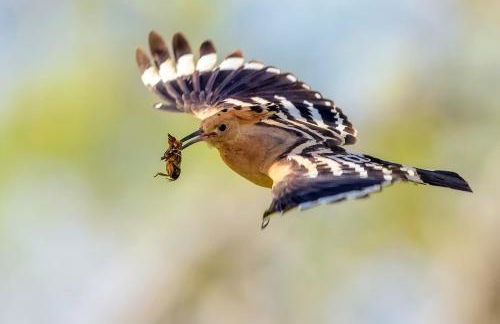 Fontes Bárbaras Enoturismo - Foto 61