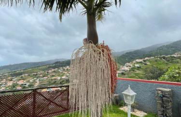 Casa dos Avos - Photo 39