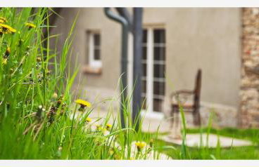 Kozy i Róże - Foto 15