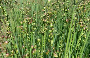 Apartament Blumenblick - Foto 38