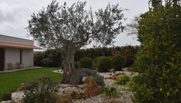 Masseria Corte Masseriola - Foto 4
