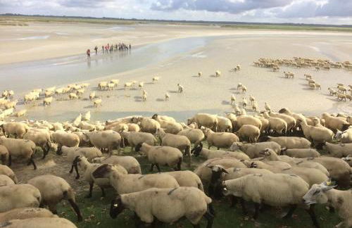 AUTHENTIQUE MAISON DE PECHEUR ENTRE-TERRE & MER Avec Un POÊLE À BOIS A Disposition - Foto 66