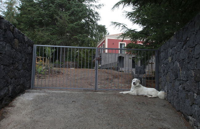 Casale Poggio del Tiglio - Foto 44